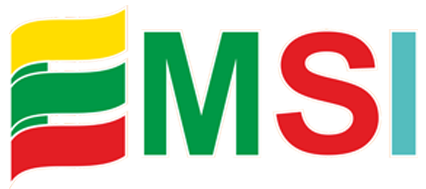 Emsi logotipas